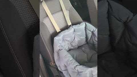 Автокрісло 3 в 1 графіт